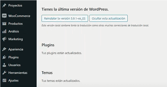 actualizar-plugins-y-theme